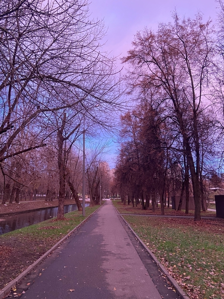 Тишковец: в Москве повторен температурный рекорд, зафиксировано +9,4 градуса