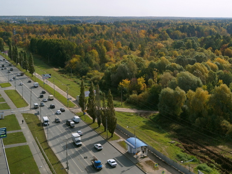 Прокуратура Йошкар-Олы требует вернуть городу участки в Сосновой роще