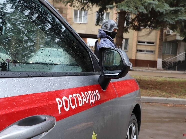 За неделю Росгвардия пресекла более 40 нарушений в Тульской области