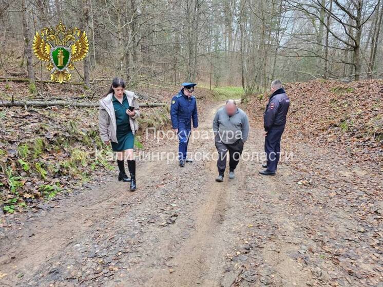 Минприроды и неманская администрация ответят за плохую дорогу к дому участника СВО