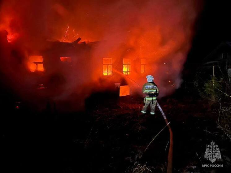 В Тверской области сгорел деревенский дом