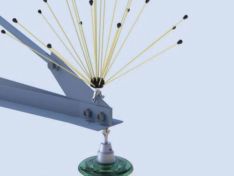 В Бурятии природоохранной прокуратуре жалко даже хищных птичек