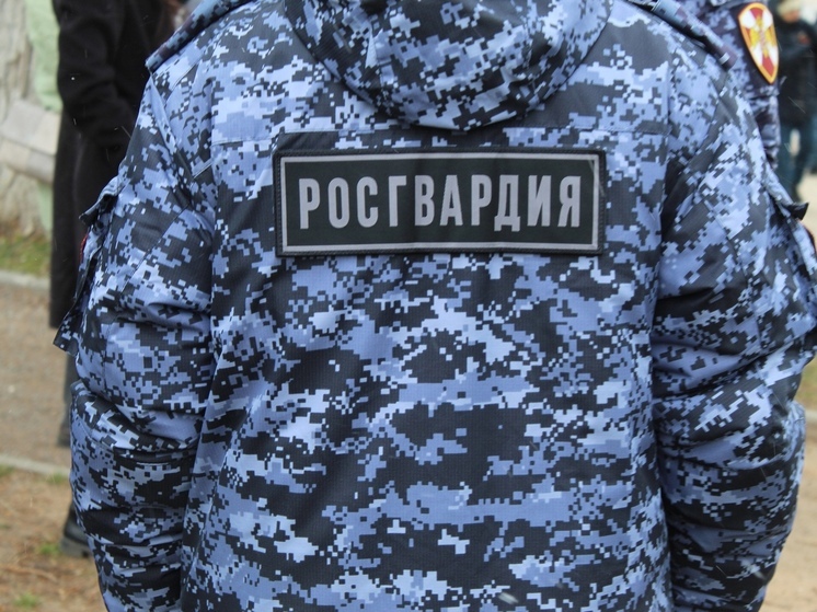 Жителя Череповца задержали за скандал в баре и попытку подраться с росгвардейцами