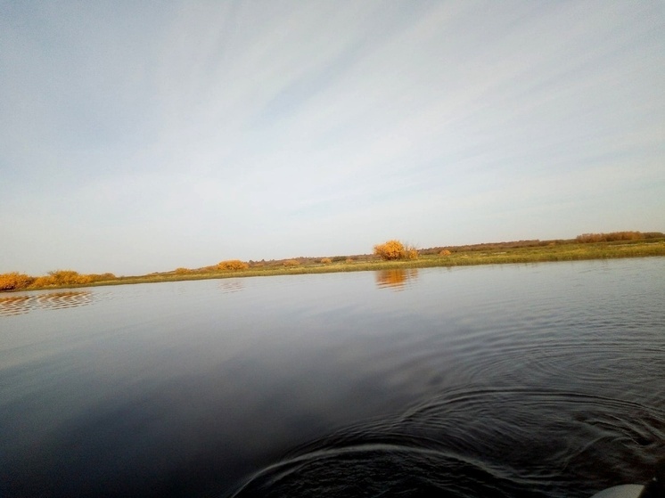 Грузовое судно село на мель в акватории реки Шексны