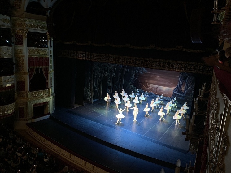 Выставка о Майе Плисецкой в Туле обойдется налогоплательщикам в 14 млн руб