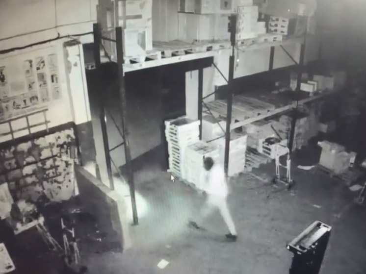 В Калининграде заведующий организовал поджог склада, чтобы скрыть воровство