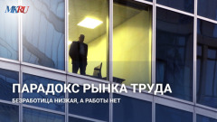 Парадокс рынка труда: безработица низкая, а работы нет