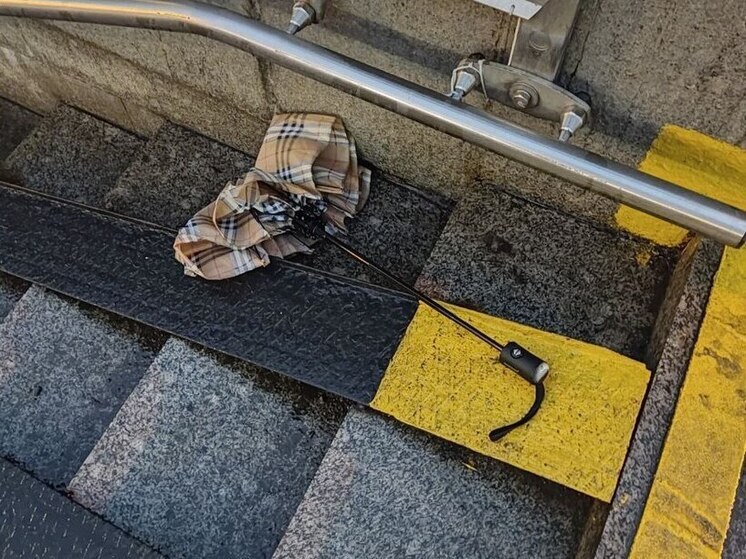 В Калининграде 18 ноября придет крепкий ветер к трем часам дня