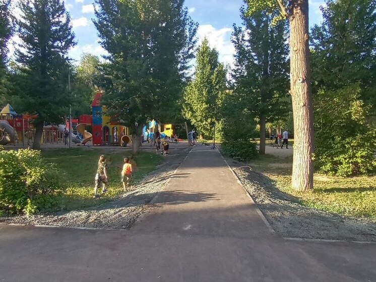 В Саратове высадили почти 3000 деревьев