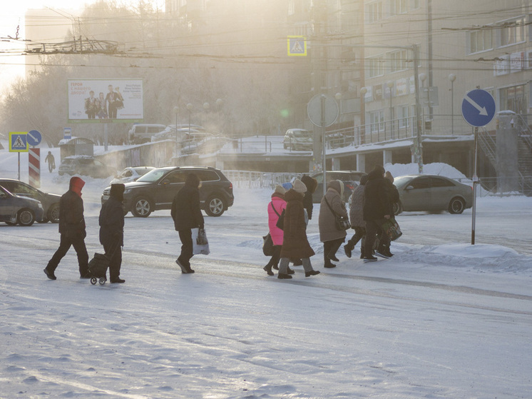 Более 80% новосибирских предпринимателей присоединились к уборке города