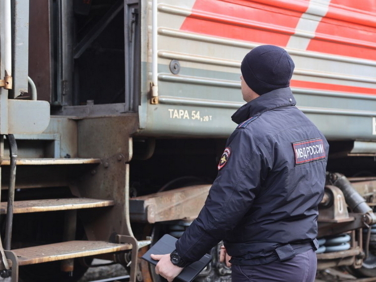 Красноярец в поезде украл 50 тыс. у тулунчанина