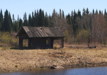 Росреестр придумал оригинальный способ борьбы с нерадивыми дачниками, которые спустя рукава относятся к наведению порядка в своих дворах