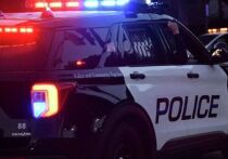 Город Стерджен в штате Миссури (США) выплатит рекордные 500 тысяч долларов владельцу слепого и глухого пса по кличке Тедди, которого застрелил полицейский