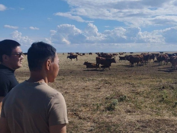 В Калмыкии усиливают контроль за расходами в сфере АПК