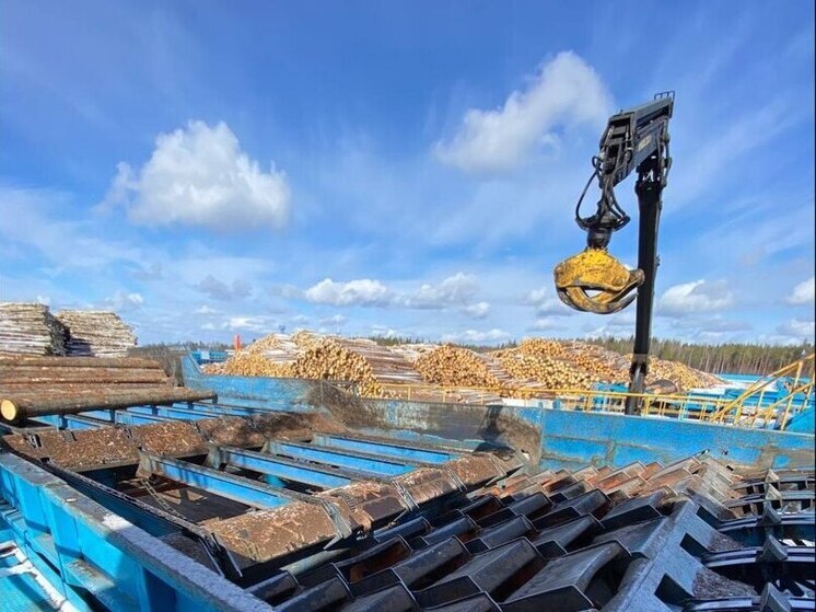 Работник получил тяжелые травмы на предприятии в Устьянах