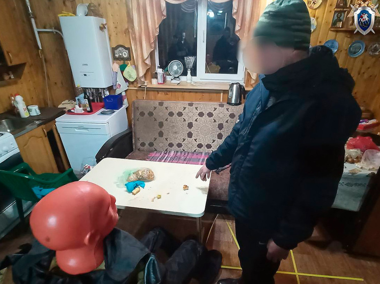 Липчанин задержан по подозрению в расправе над пенсионером