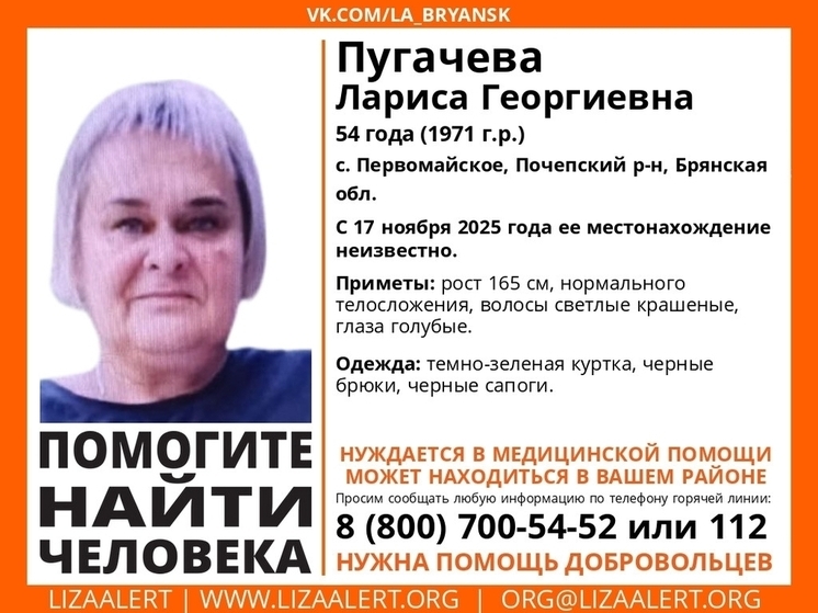 В Брянской области ведутся поиски пропавшей 54-летней Ларисы Пугачевой