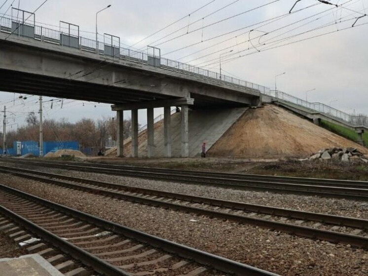 Ремонт мичуринского путепровода поручили новой строительной компании