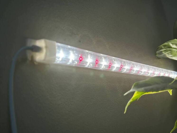  Десятки частных домов в Барнауле останутся без электричества 19 ноября