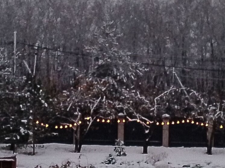Снегопад и до -5 градусов пообещали синоптики ленинградцам 19 ноября