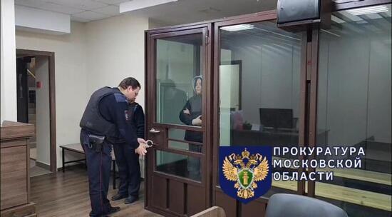 В Балашихе заключена под стражу мать, которая убила своего 6-летнего сына