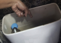 Печальная история со счастливым концом развернулась в Таиланде