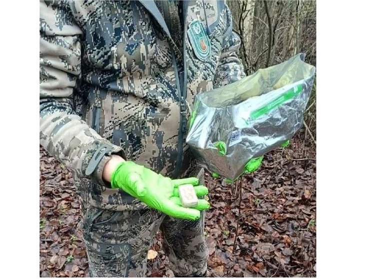 В Вологодских лесах разложат 400 тысяч доз вакцины от бешенства