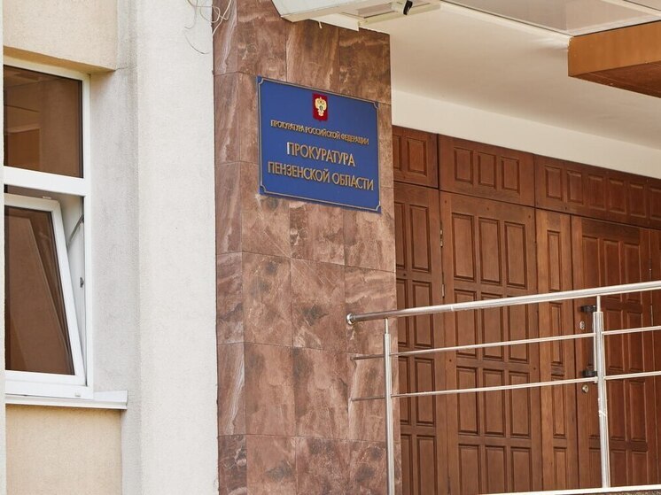 Портрет преступника в Пензенской области: кто чаще всего нарушает закон