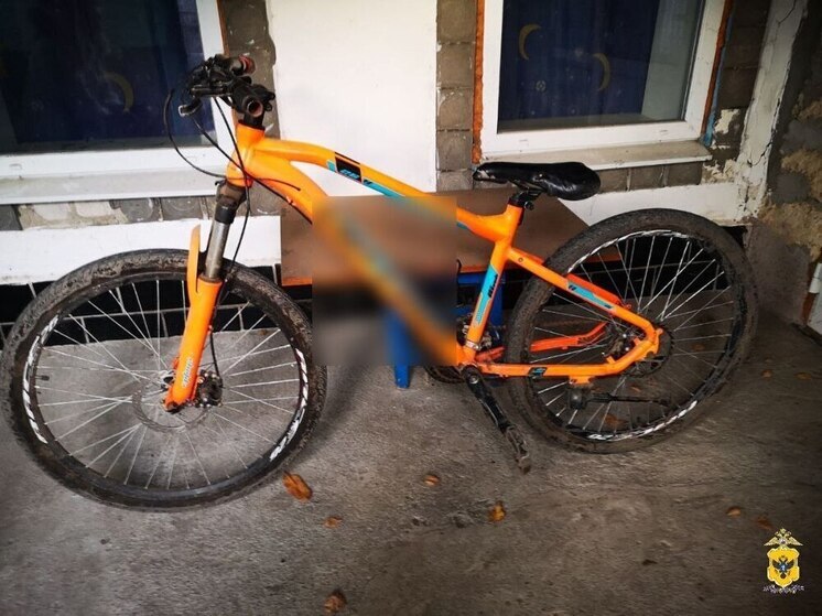 Житель Херсонской области украл у соседки два велосипеда