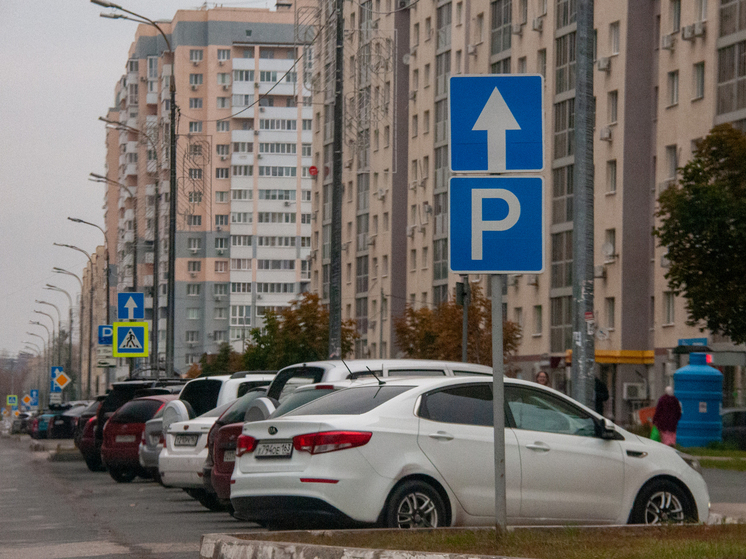 Депутат Бессараб: решение о бесплатных парковках для многодетных примут муниципалитеты