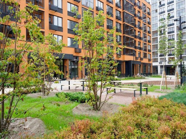 Более 12 тысяч деревьев и кустарников украсили новостройки Всеволожска и Лаголово