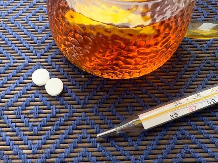 Рост ОРВИ в Пензенской области: за неделю зарегистрировано более 1,6 тыс. случаев