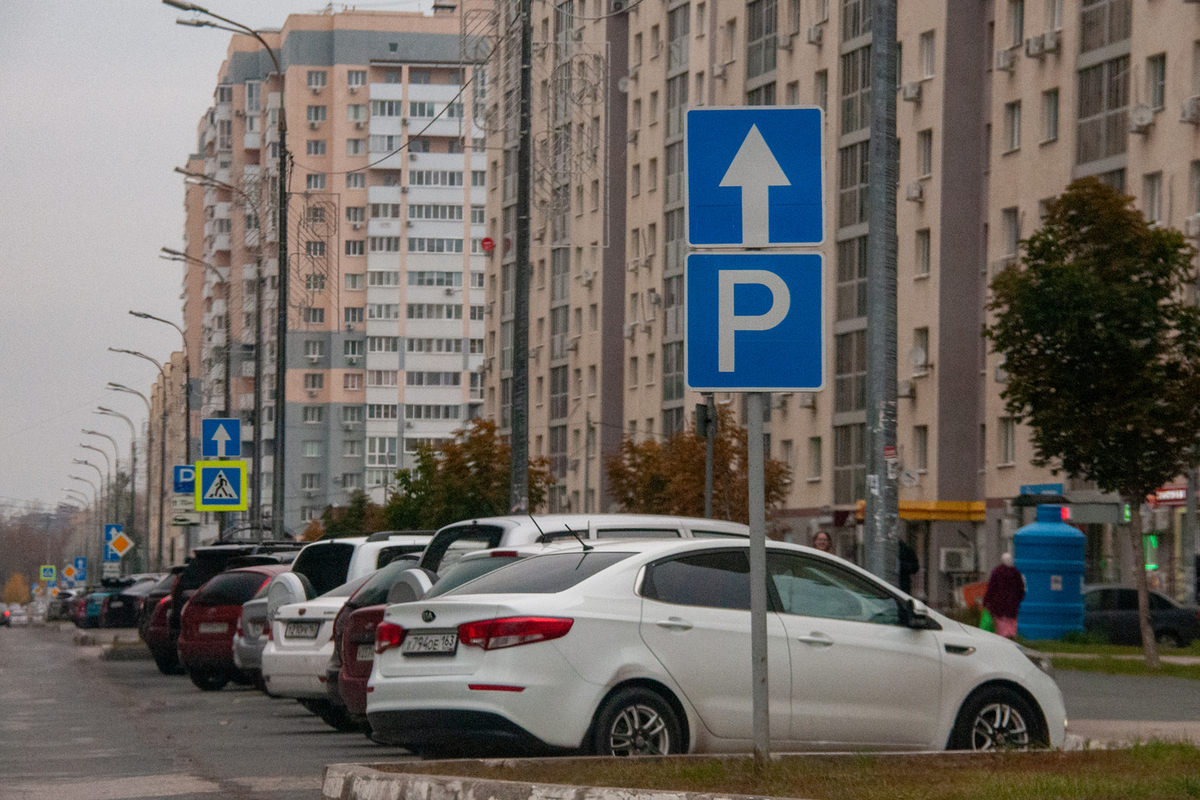 В Госдуме РФ указали на ошибку в идее о бесплатных парковках многодетным