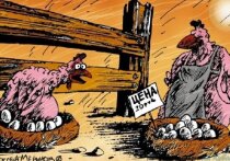 Минсельхоз Саратовской области анонсировал удешевление куриного мяса