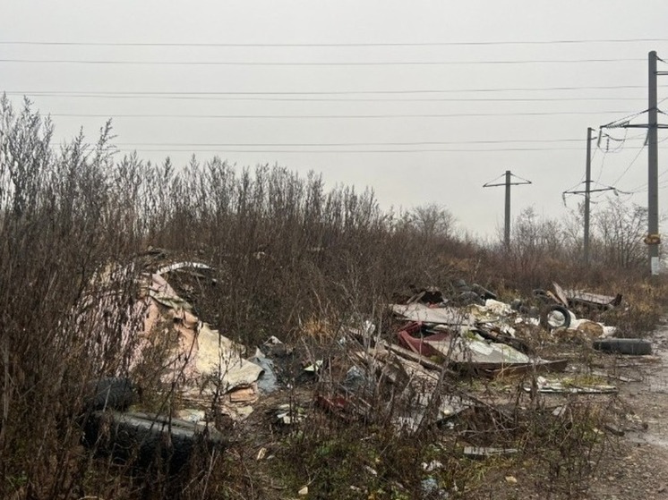 На исторической свалке на Авиационной проведут «генеральную уборку»