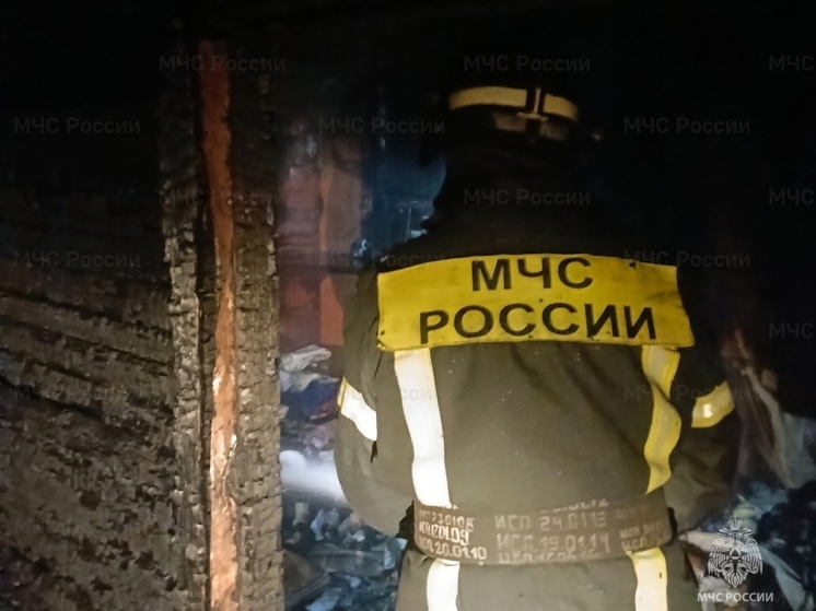 В Орловской области ночью сгорела хозяйственная постройка