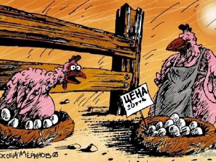 Саратовцам пообещали снижение цен на курятину