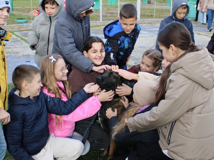 В Керчи школьники посетили кинологический городок исправительной колонии