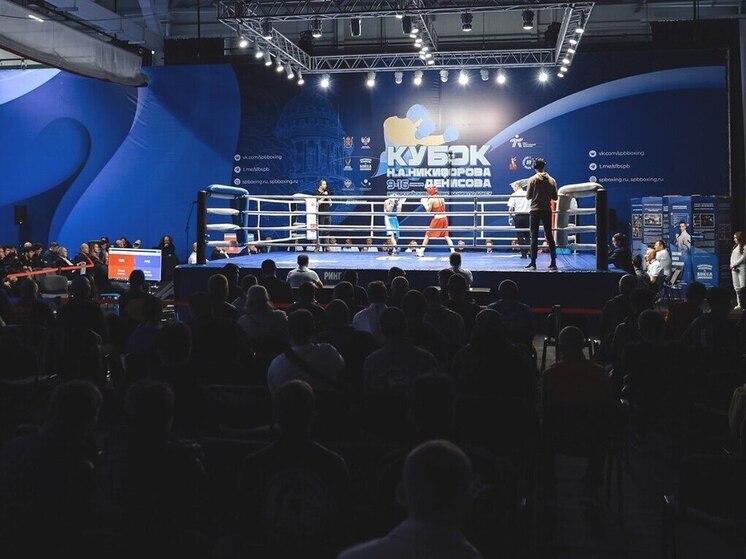 Волгоградский боксер стал серебряным призером юниорского Кубка России