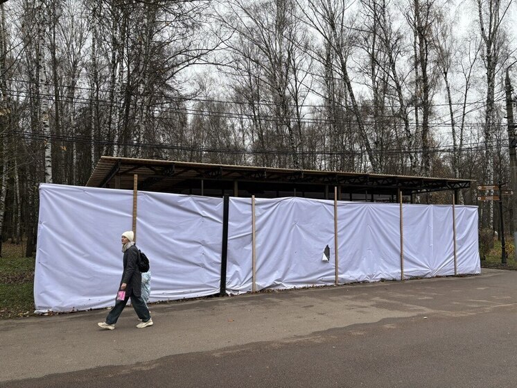 В Центральном парке Тулы места кафе «БлинЛайн» займут новые точки общепита