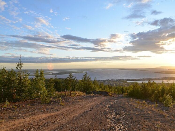 Тело участника СВО девять дней лежало в гараже из-за  отсутствия судмедэксперт