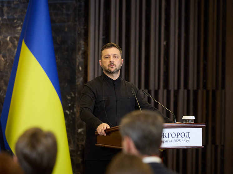 Военкор предположил, что стоит за одновременным визитом Зеленского и Уиткоффа в Турцию