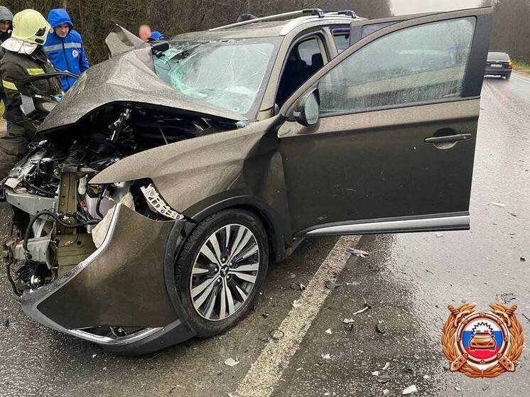 Водитель иномарки вылетел на “встречку” на дороге в Тверской области: погиб человек