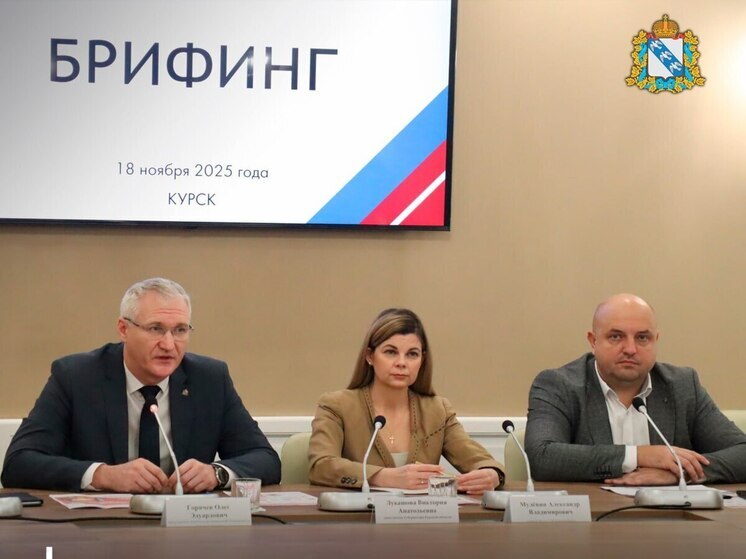 В Курской области разработали памятки для жителей на случай длительных отключений энергоснабжения