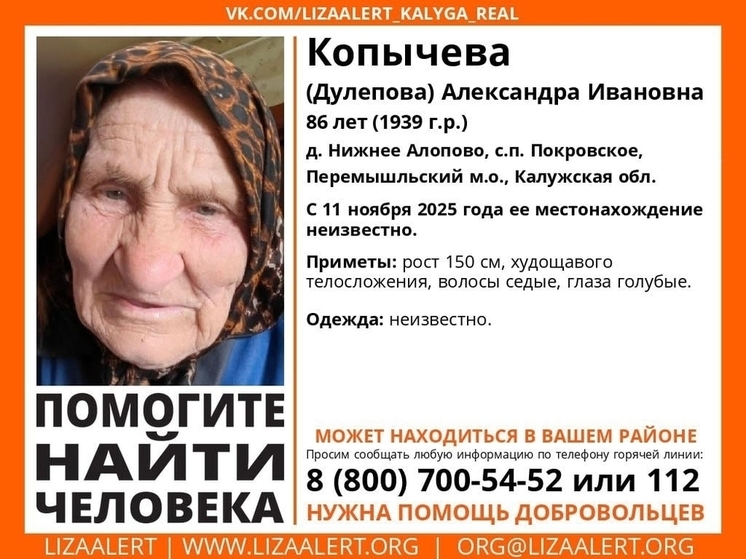 В деревне под Перемышлем больше недели ищут пенсионерку