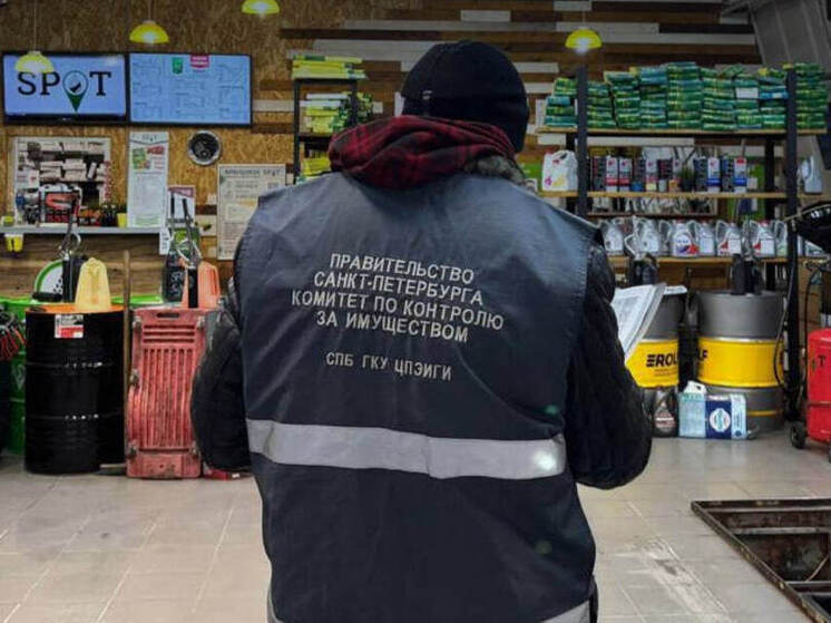 С Дальневосточного проспекта в Петербурге «стерли» незаконный автосервис