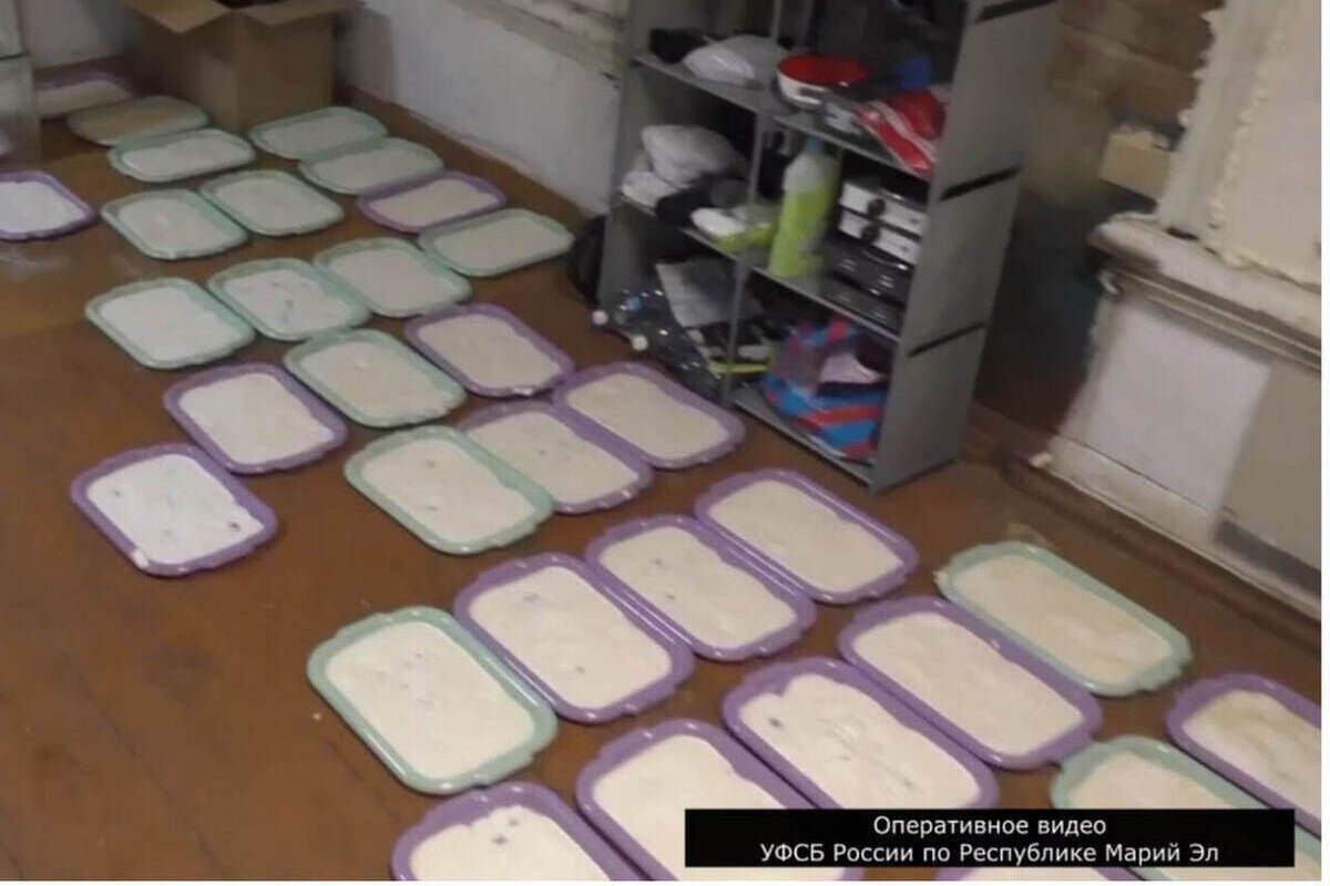Два жителя Марий Эл обвиняются в производстве и покушении на сбыт наркотиков