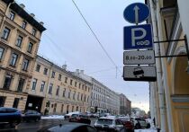 В Госдуме призвали разрешить многодетным никогда не платить за парковку