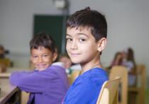 В австрийском городе Абсдорф, расположенном в округе Тульн, разгорелся серьезный общественный скандал, причиной которого стала, казалось бы, обычная школьная анкета. Об этом пишет австрийская eXXpress (статью перевели ИноСМИ). 