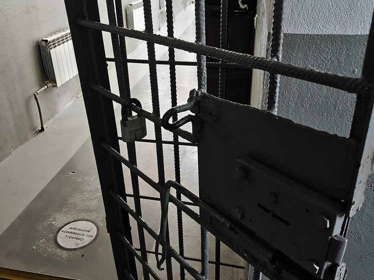 Веру И. не назовешь тихоней. В 2023 году, когда девушке было всего 18 лет, Росфинмониторинг внес ее в перечень экстремистов и террористов. Причиной стали высказывания в личном блоге. В 19 лет Вера стала фигуранткой дела о покушении на убийство, в 20 — обвиняемой в госизмене.